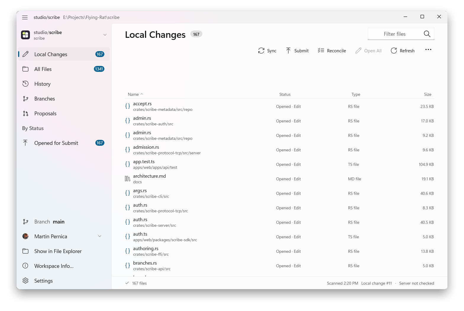 Scribe for Windows showing Local Changes with file names, statuses, types, and sizes beside the workspace navigation pane.